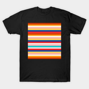 Colorful Stripe Designs - Multicolor Designs T-Shirt